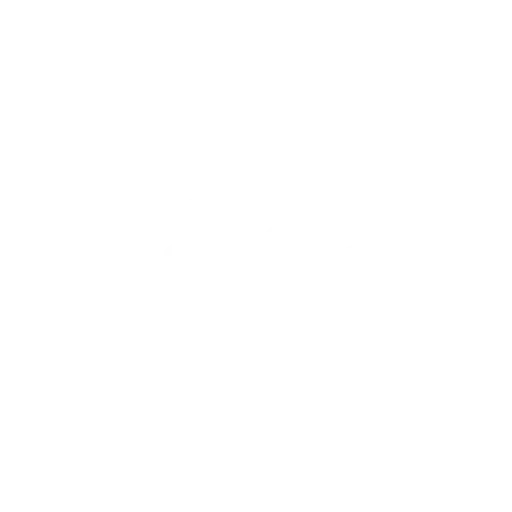 Pana Traveller